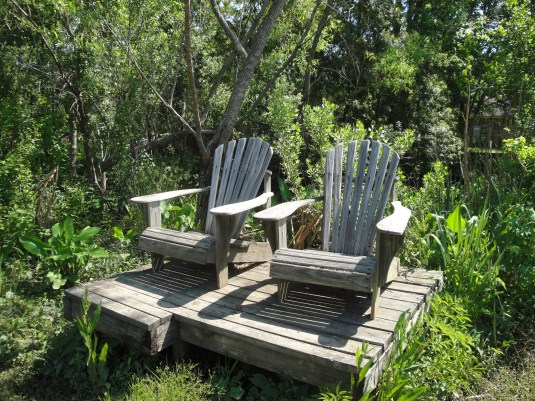 My View of the World...from Turkey Creek