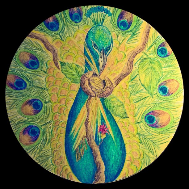 11138600_10207817960423910_8773744685953767231_n