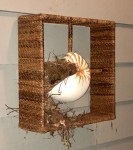 8C005F65-5D93-4F0A-831C-FC18F3DECF1E